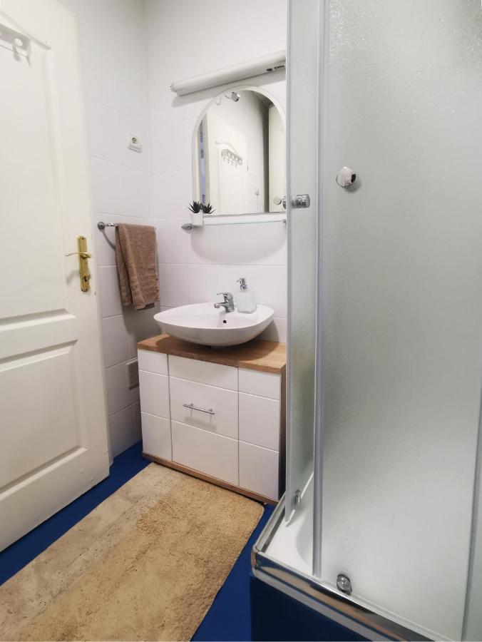 נובי סאד Center Apartment Iva מראה חיצוני תמונה
